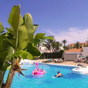 In Paraiso Royal , Playa de las Americas (Tenerife) Spain